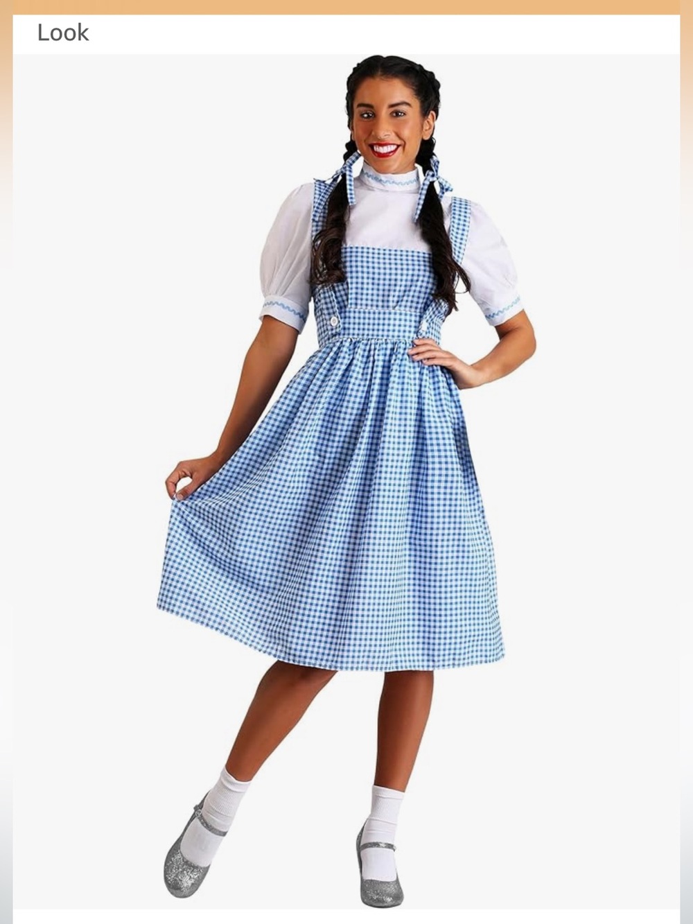 Dorthy, Wizard of Oz  Women’s Costume, Women Size Large,with Gingham Dress